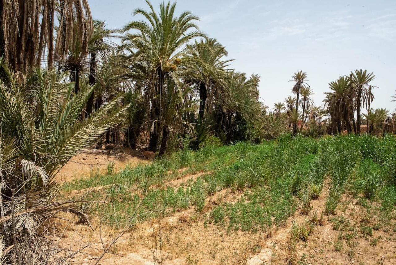 Maison Etoile Du Desert Alojamento de Acomodação e Pequeno-almoço